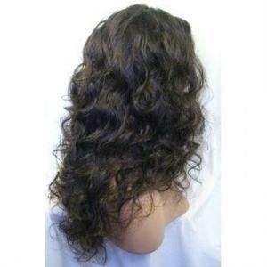 Human Hair Lace Wig