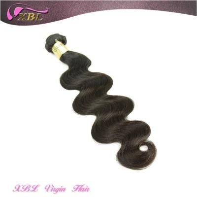 8A Grade One Donor Hair Virgin Brazilian Hair Weave