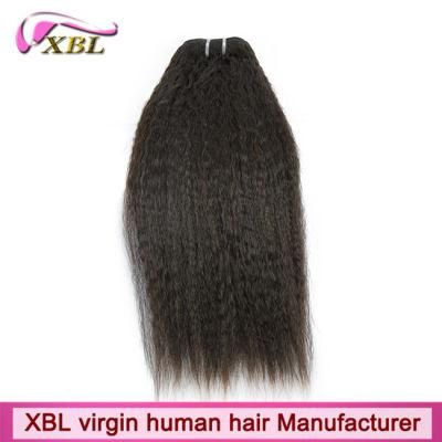Kinky Straight Hair Weave Remy Malaysian Hair