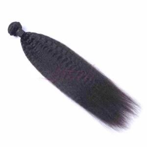 Top Quality Lab Brand Kinky Straight Brazilian Virgin Human Hair
