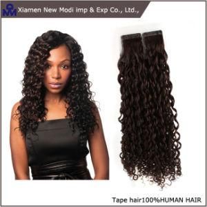 Brazilian Virgin Human Hair Skin Weft Hair Extensions