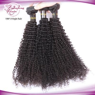 10-32inches 100% Human Hair Weaves Malaysian Curly Hair Bundles