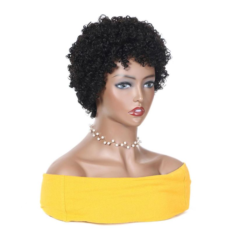 Kinky Curly Pixie Cut Wigs Short Human Hair Wig with Lace Front Human Brazilian Hair Wig for Black Women