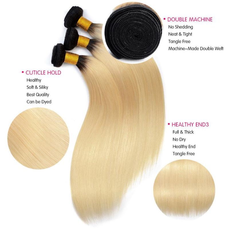 Hot Selling Ombre Hair T1b/613 Blonde Hair Bundles with Closure