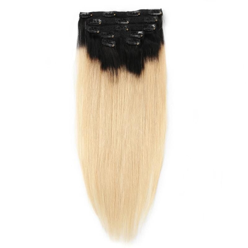 Wholesale 100% Russian Human Remy Clip in Hair Extensions