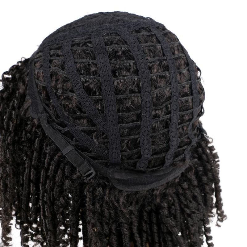 Fashion Roll Twist Ombre Dreadlock Braided Wig Short Curly Synthetic Hair Wigs for Black Afo Women Daily Natural Wigs