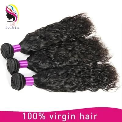 Unprocessed Virgin Brazilian Human Hair Natural Wave