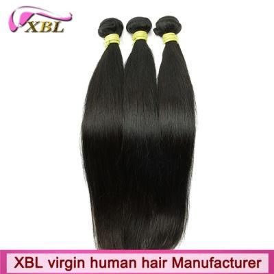 Virgin Human Hair Brazilian Hair Extension