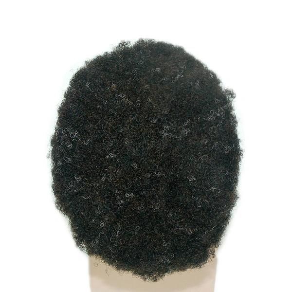 Lw80 High Quality Men′s Afro Wig Curly Human Hair Products