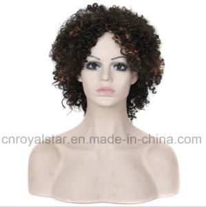 Fashion Afro Curly Women Bob Wig