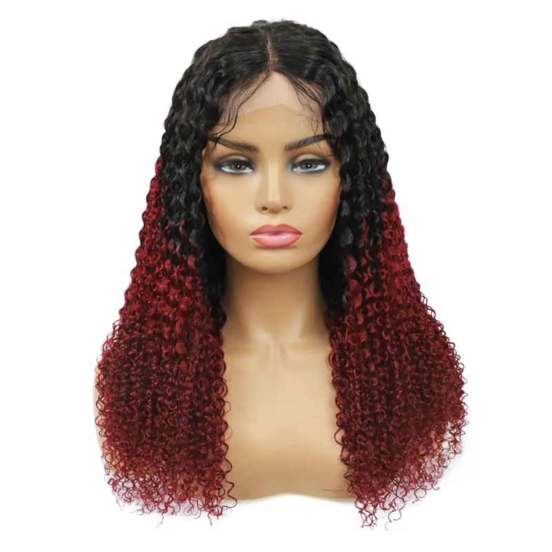 Kbeth Women′s Wig 100% Virgin Brazilian 20′′ 22′′ 24′′ Kinky Curly a Super Chic Glamorous Premium Realistic Appearance Brown Ombre Human Hair Wigs for Lady