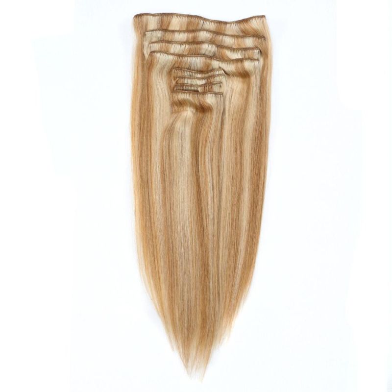 Fashion Color Clip on Hair Extension (WHH-CP-017)