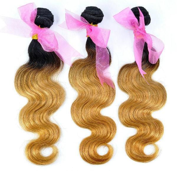 Brazilian Ombre Remy Human Hair Weft at Wholesale Price with SGS Approved (Body Wave 1B/27)