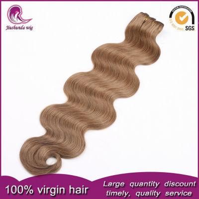 Colored Hair Weft Indian Virgin Human Hair