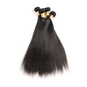 Natural Brazilian Virgin Straight 100% Human Remy Hair Bundles