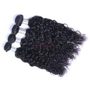 Wholesale Natural Wave Brazilian Human Hair Weave with Closure