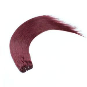 Unice Human Grade 9A Virgin Natural Straight Hair Bundles