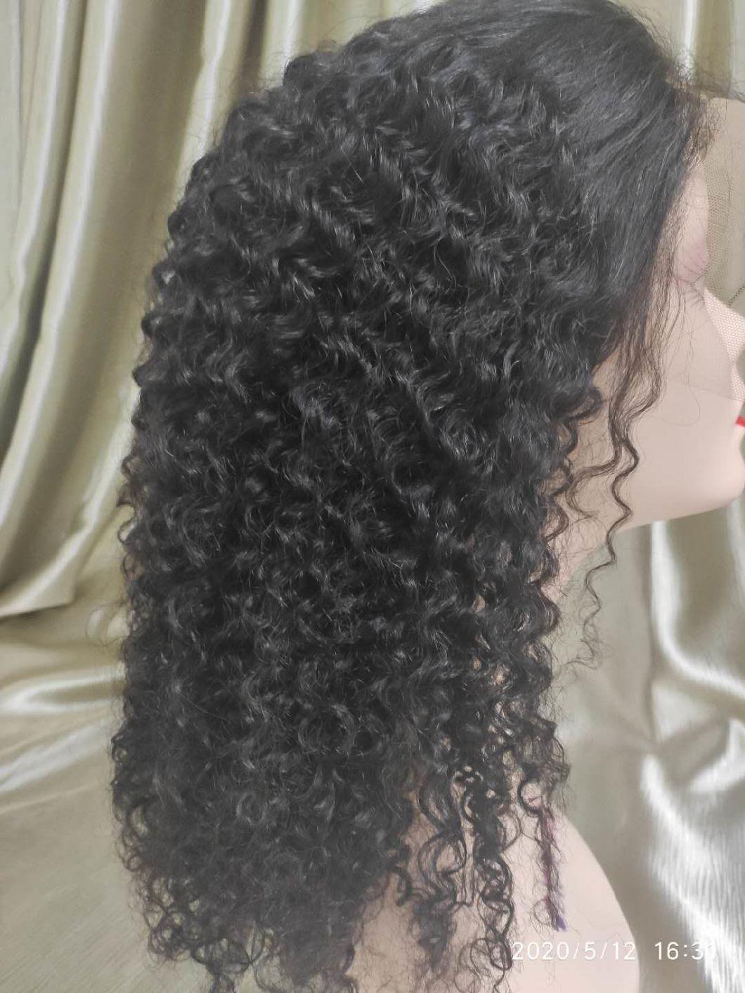 Mink Brazilian Human Hair Afro Kinky Curly Lace Wig