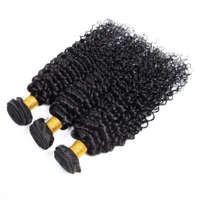 Brazilian Kinky Curly Bundles Human Hair Bundles