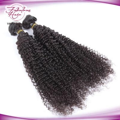 Afro Kinky Curly Virgin Human Hair Vendors Best Quality Hair