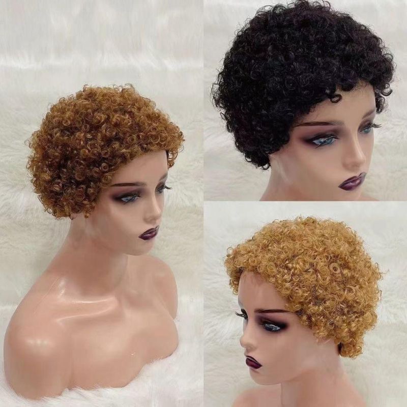 Wholesale 10 A Grade Human Hair Wigs Wavy Hair Wig
