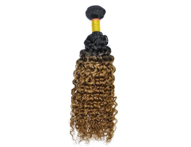 Brazilian Ombre Remy Human Hair Weft at Wholesale Price with SGS Approved (Curly #1b/30)