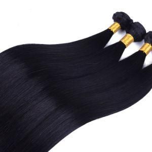 Best Quality Virgin Unprocessed Brazilian Human Hair Weave