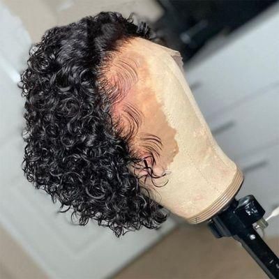 Sunlight 13X1lace Front Pixie Curly Wig
