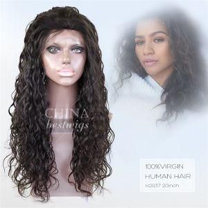 Loose Curl Brazilian Virgin Hair Lace Wig