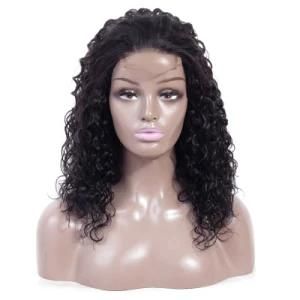 Cuticle Aligned Virgin 100% Brazilian Human Hair Curly Lace Front Wig