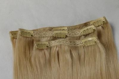 Remy Hair Extension Clip-on Hair Extension