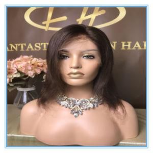 High Quality Hot Sales Color Human Hair Lace Wigs with Factory Price Wig-051