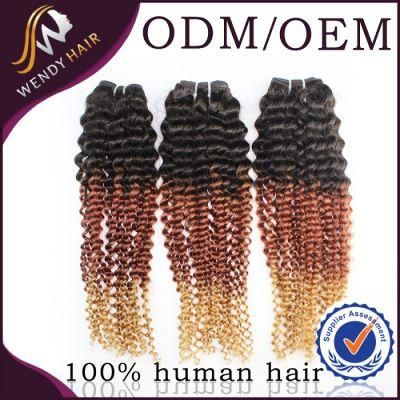 Brazilian Curly Wave 3 Tone Hair Extensions