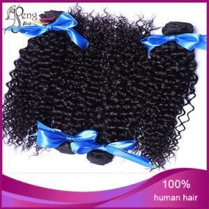 Kinky Curly Unprocessed Human Hair