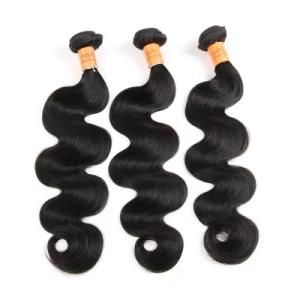 Wholesale Virgin Indian Vendors Grade 10A 100% Human Hair Bundles