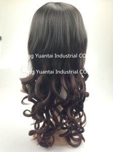 Long Wavy Synthetic Hair Wig / Human Hair Feeling