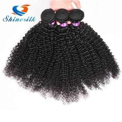 Brazilian Kinky Curly Virgin Hair 4 Bundles 100g Brazilian Virgin Curly Hair Extension