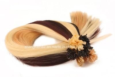 Keratin Pre Bonded U Tip Hair Extension