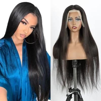 Alinybeauty Best Transparent HD Full Lace Human Hair Wig, 13X4 13X6 Human Hair HD Lace Front Wig, Brazilian Cuticle Aligned Raw Virgin Hair Wig