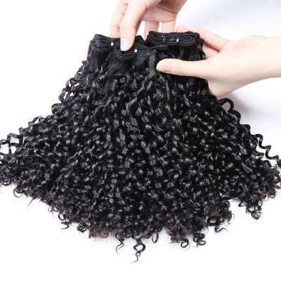 Raw Unprocessed Curly Hair, Pixie Curls Human Hair with Closure, Curly Human Hair Extensions