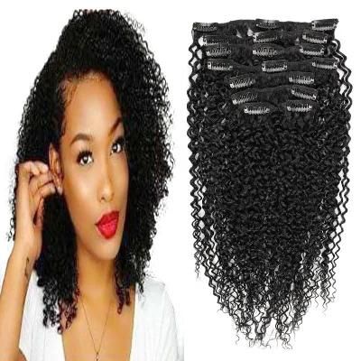 Kinky Curly 100% Human Hair Clips in Hair Extension