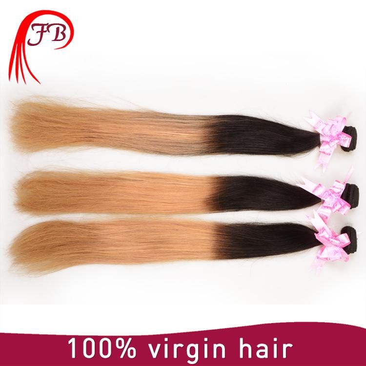 8A Top Quality European Huamn Omber Straight Remy Hair