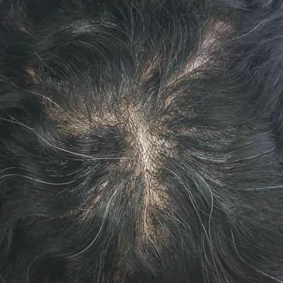 Ljc1581: Human Hair V-Looped Hair Realistic Human Hair Wig