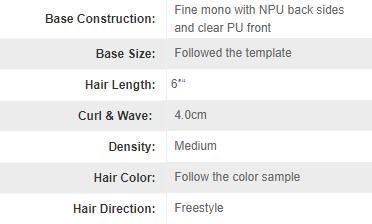 Lw226 High Quality Human Hair Wig