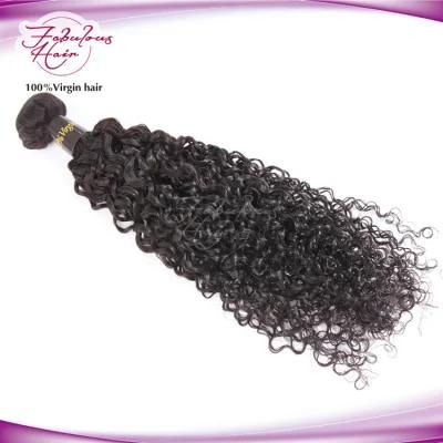Raw Unprocessed Human Indian Hair Bundles Curly Cuticle Aligned Hair