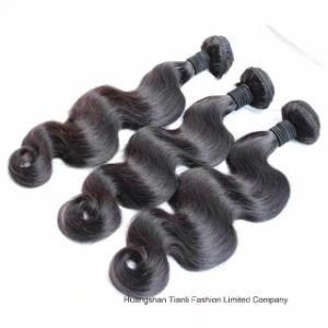 8A Grade Unprocessed Virgin Brazilian Human Wholesale Wigs