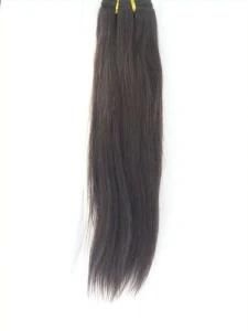 Top Quality Human Hair Extension