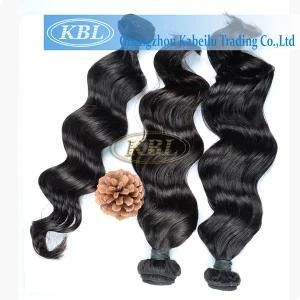 Single Donor Malaysian Virgin Unprocessed Hair Weft