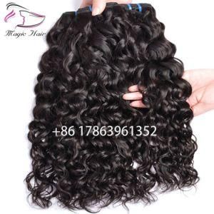 Water Wave Hair Wefts 100% Human Hair Natural Color 2PCS/Lots