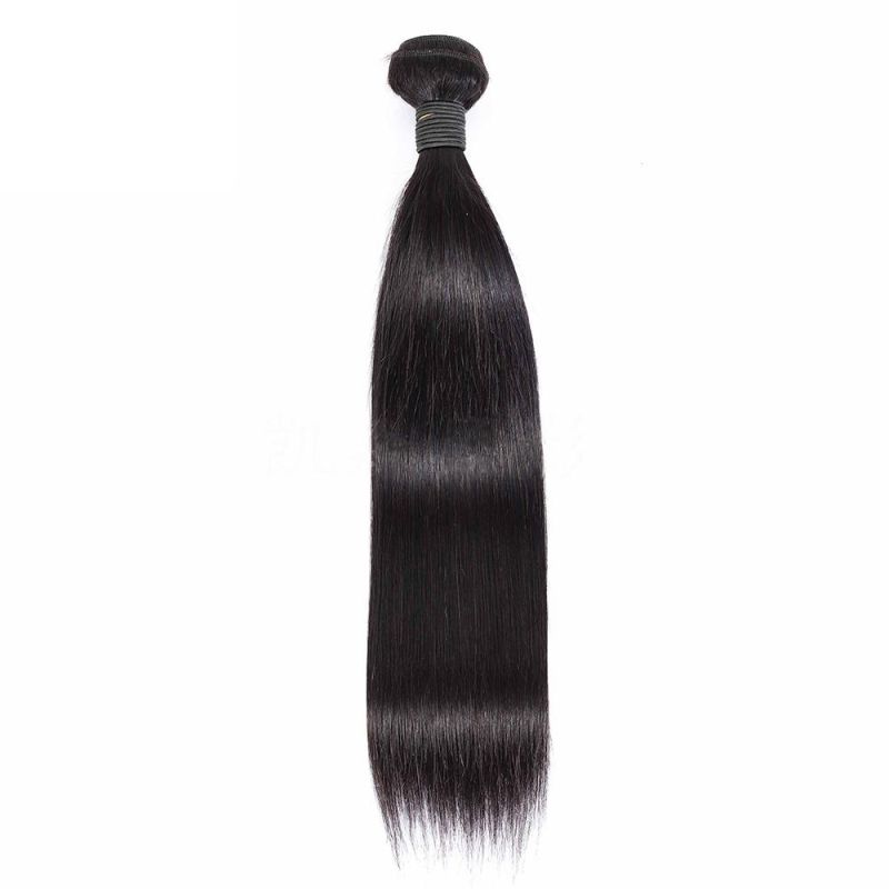 100% Human Virgin Silky Straight Brazilian Human Hair Wig